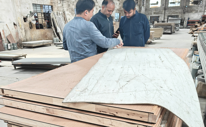 Checking a Large Surface Sample